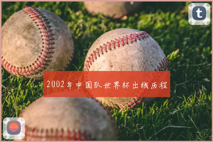 2002年中国队世界杯出线历程