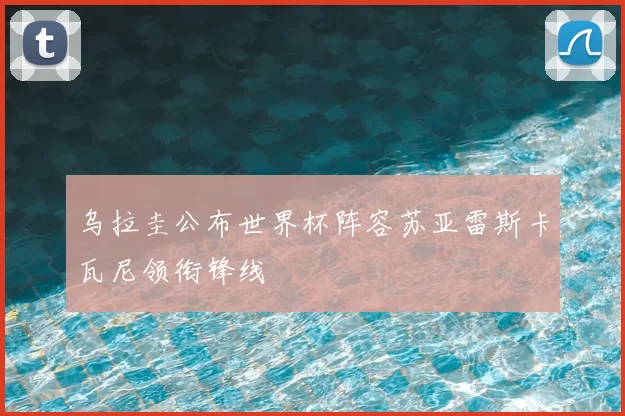 乌拉圭公布世界杯阵容苏亚雷斯卡瓦尼领衔锋线