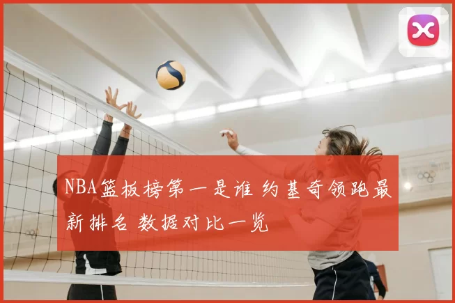 NBA篮板榜第一是谁 约基奇领跑最新排名 数据对比一览