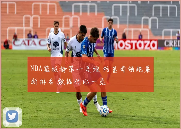 NBA篮板榜第一是谁 约基奇领跑最新排名 数据对比一览