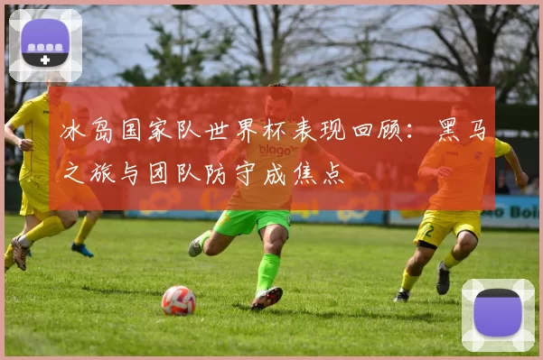 冰岛国家队世界杯表现回顾:黑马之旅与团队防守成焦点