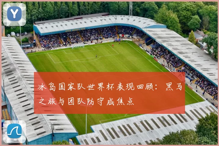 冰岛国家队世界杯表现回顾:黑马之旅与团队防守成焦点