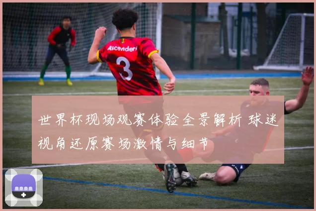 世界杯现场观赛体验全景解析 球迷视角还原赛场激情与细节