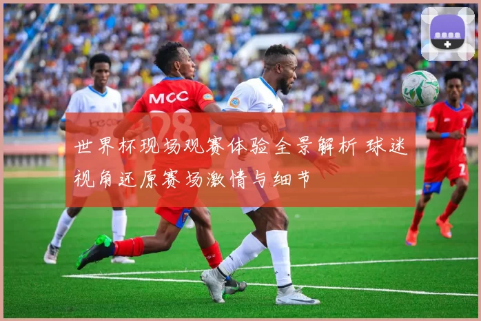 世界杯现场观赛体验全景解析 球迷视角还原赛场激情与细节